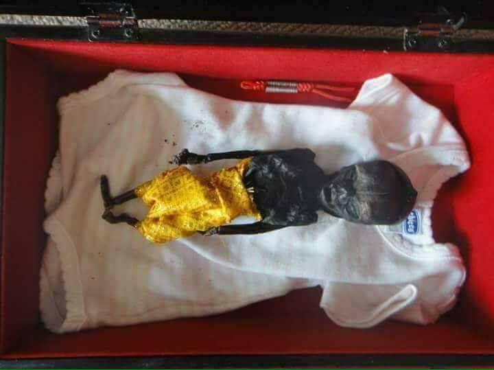 រូបភាពតំណាង&nbsp;