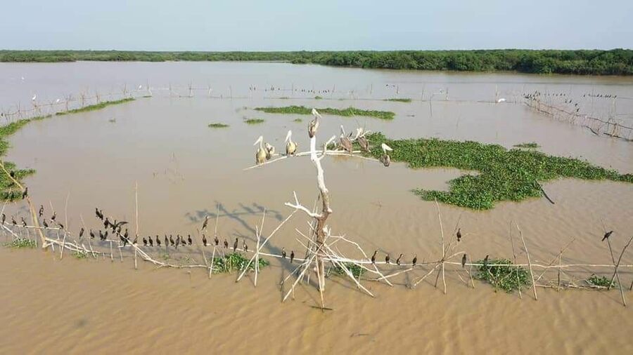មន្ទីរកសិកម្មខេត្តសៀមរាប ត្រៀមបង្ហូរទឹកជួយសង្គ្រោះតំបន់អភិរក្សបឹងពារាំង