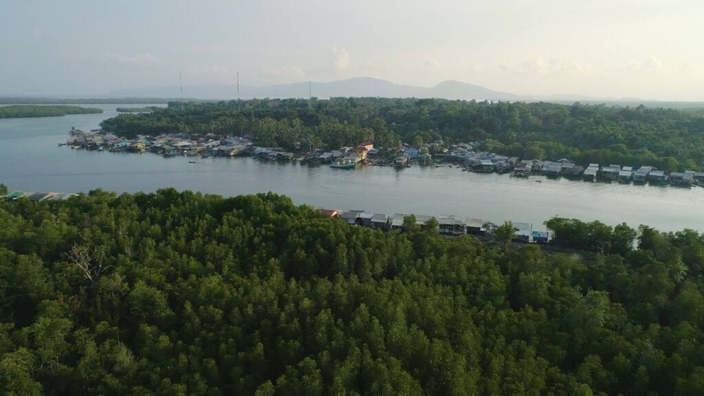 ដែនជម្រកសត្វព្រៃពាមក្រសោប