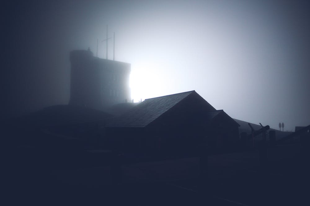 ប្រភព៖ pexels