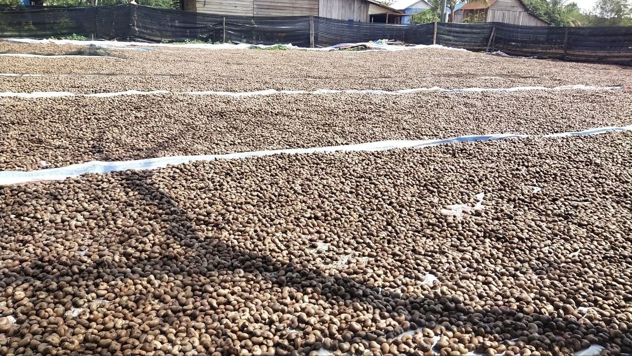 រូបភាពពីក្រសួងកសិកម្ម រុក្ខាប្រមាញ់ និងនេសាទ