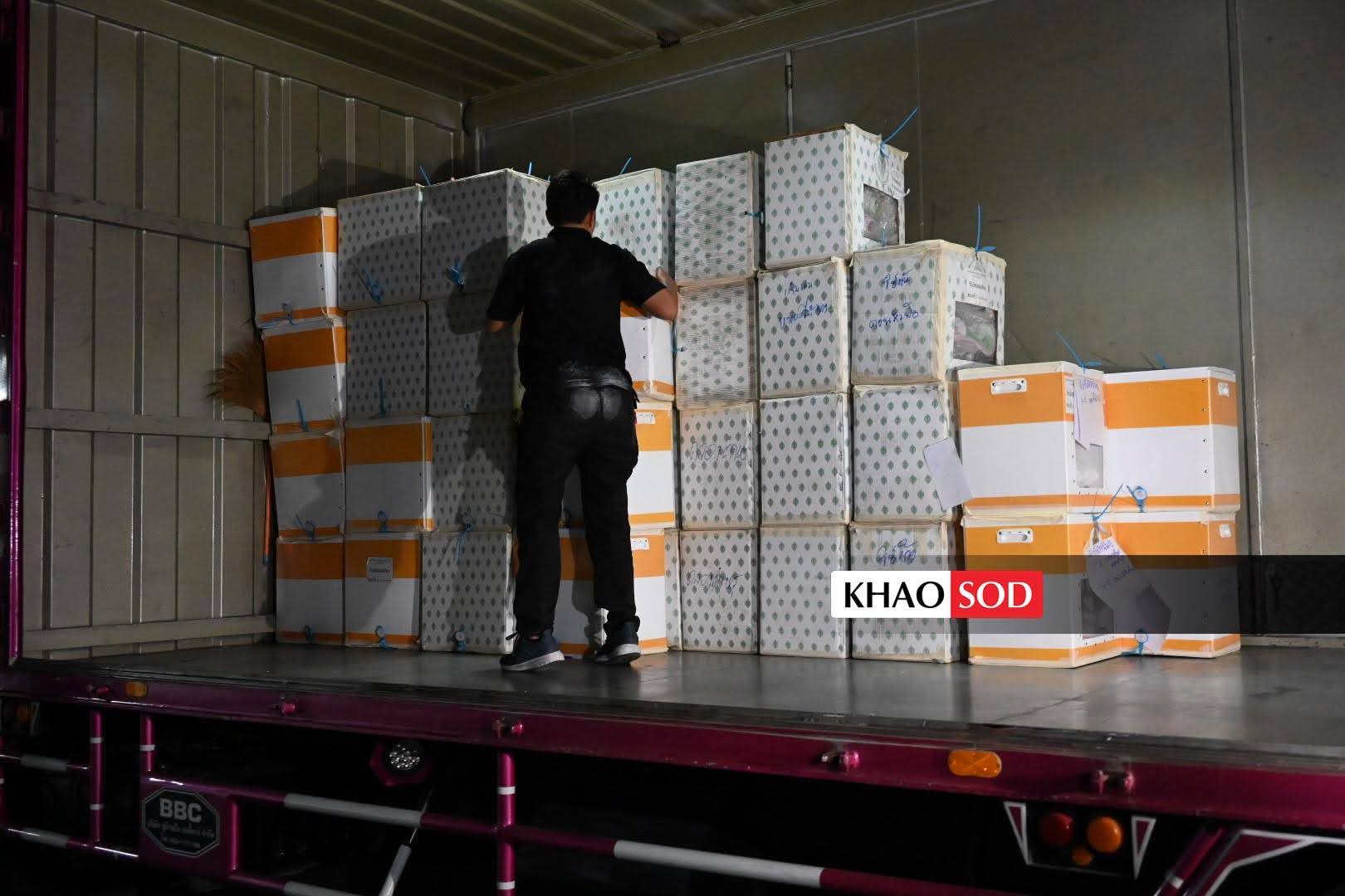 រូបភាព៖ ខាវសដ