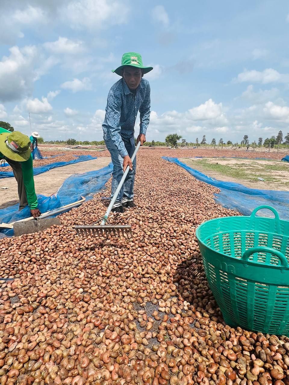 រូបភាពពីក្រសួងកសិកម្ម រុក្ខាប្រមាញ់ និងនេសាទ