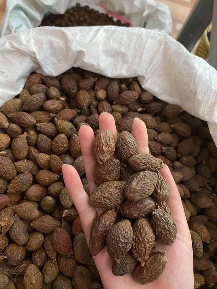 ផ្លែសំរ៉ង