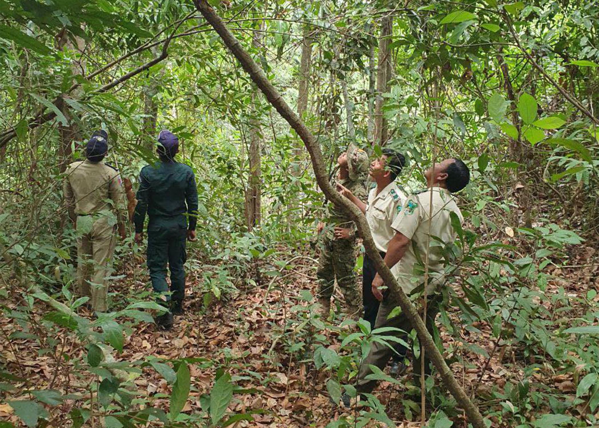 សមត្ថកិច្ចចុះត្រួតពិនិត្យការកាប់ដើមសំរ៉ង កាលពីកន្លងទៅ