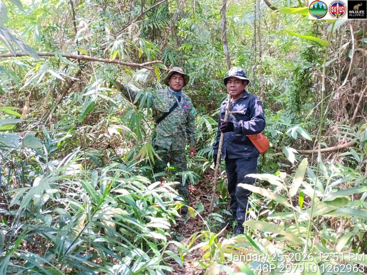 មន្ត្រីចុះបង្ក្រាបបទល្មើសធនធានធម្មជាតិកាលពីកន្លងទៅ។ រូបភាព៖ ក្រសួងបរិស្ថាន