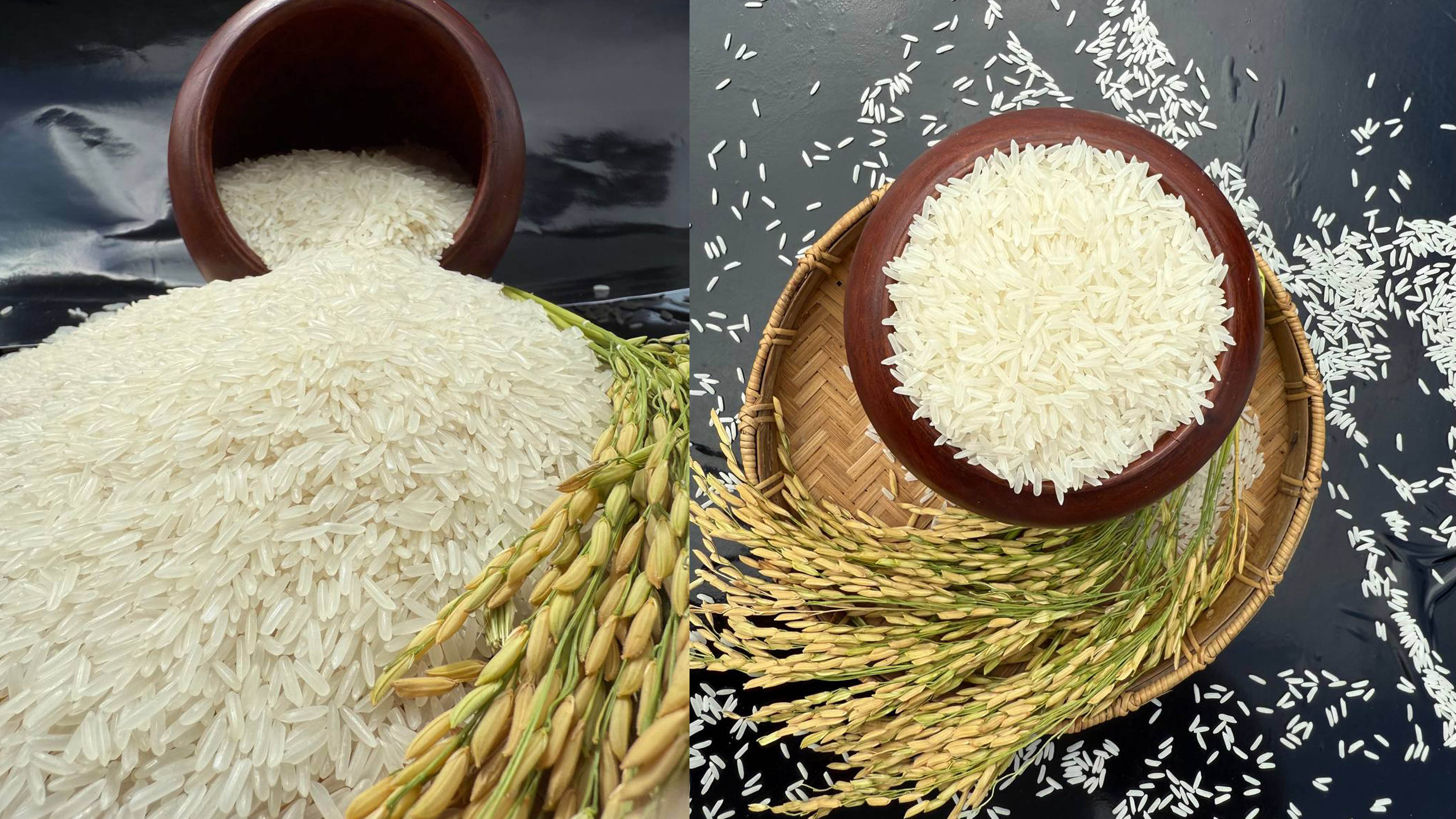 អង្ករសែនក្រអូប០១ ដែលឈ្នះពានមាសពីការវាយតម្លៃនៅប្រទេសចិន (រូបពីសហព័ន្ធស្រូវអង្ករកម្ពុជា)។