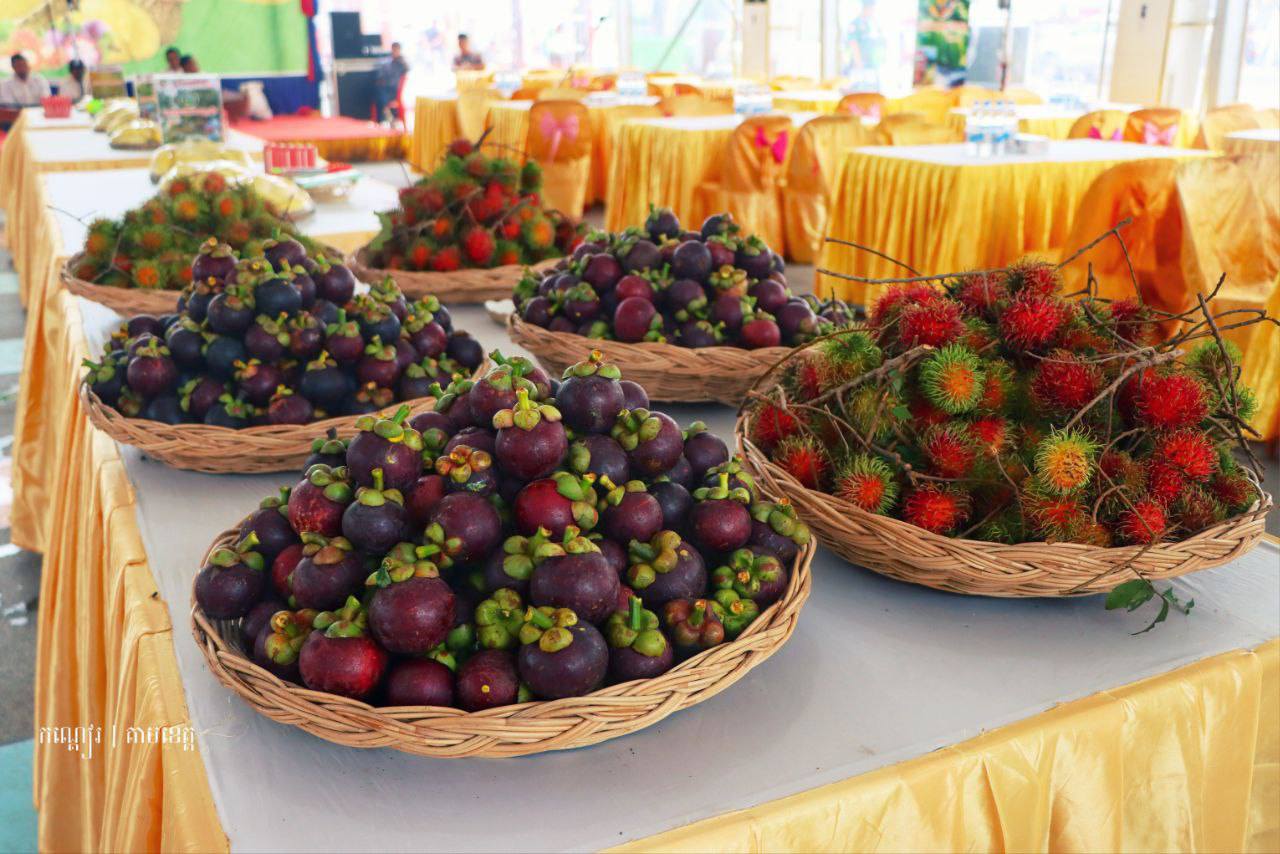 រូបភាព៖មន្ទីរទេសចរណ៍ខេត្តបាត់ដំបង