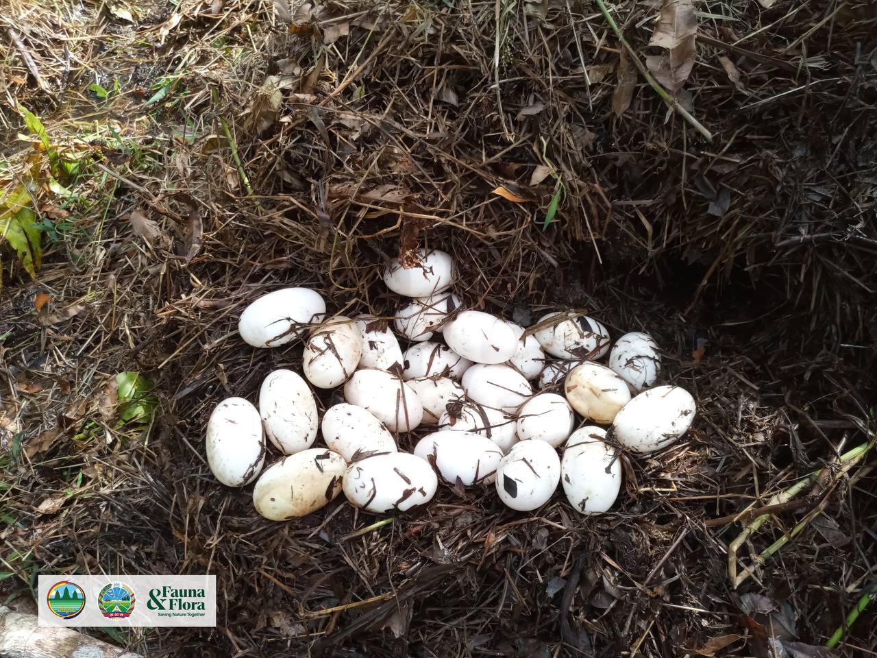 រូបភាពពី ក្រសួងកសិកម្ម រុក្ខាប្រមាញ់ និងនេសាទ