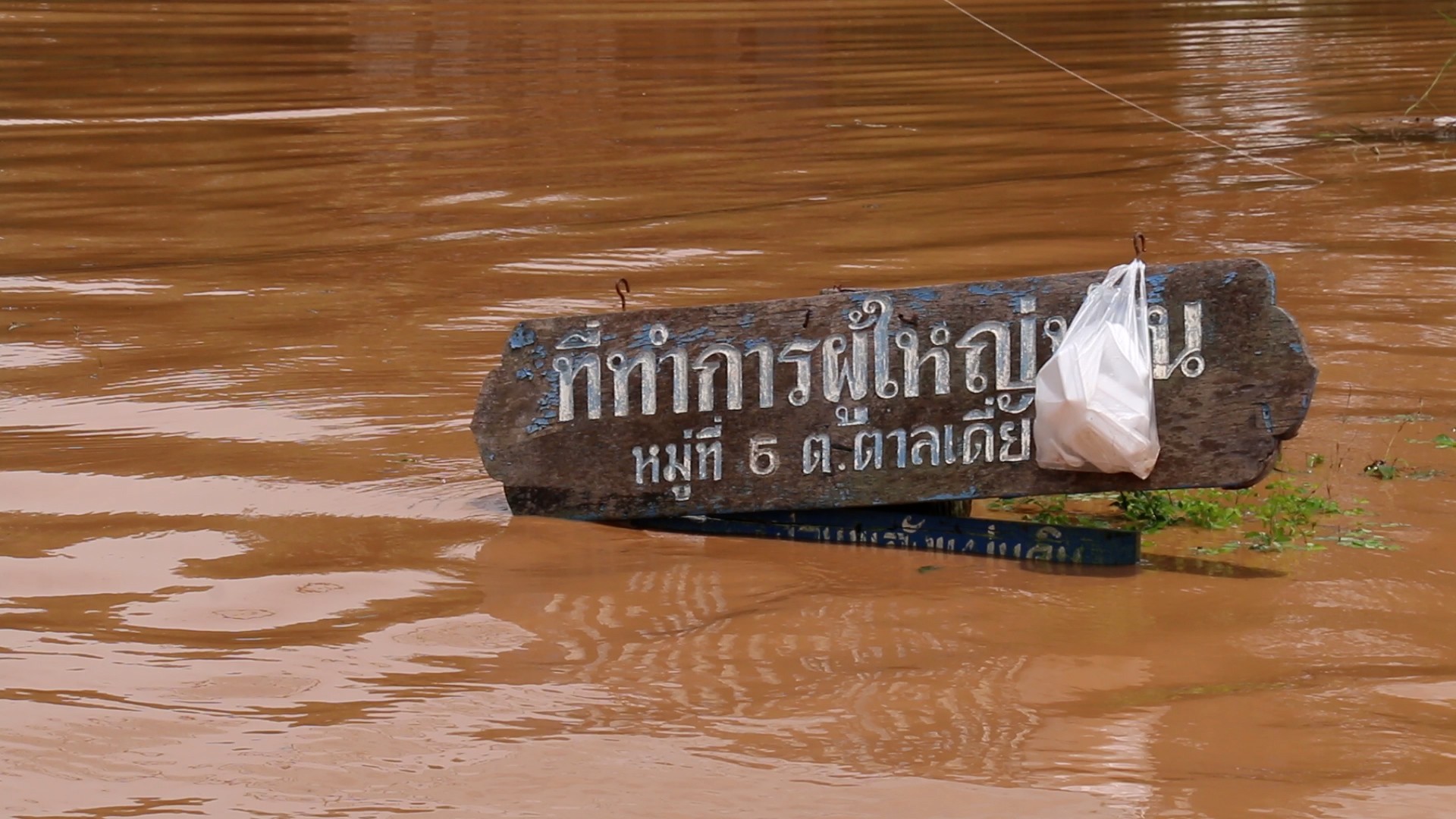 រូបភាព៖ ខាវសដ