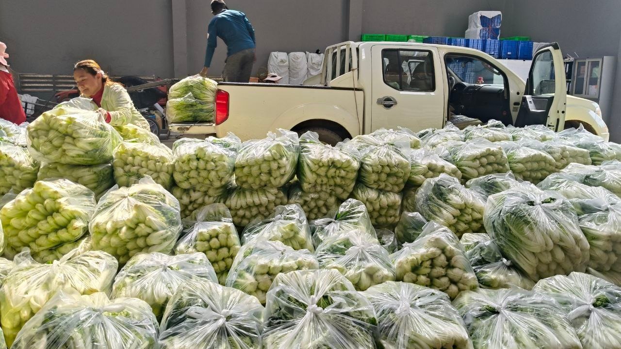 រូបភាពពី ក្រសួងកសិកម្ម រុក្ខាប្រមាញ់ និងនេសាទ