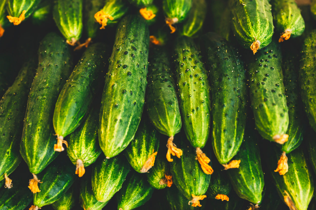 ផ្លែ​ត្រសក់