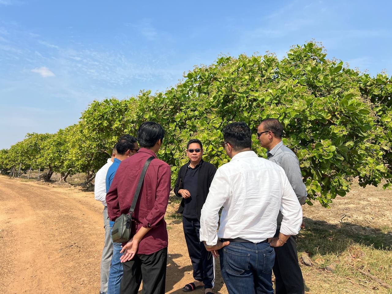 រូបភាព៖ សមាគមស្វាយចន្ទីកម្ពុជា