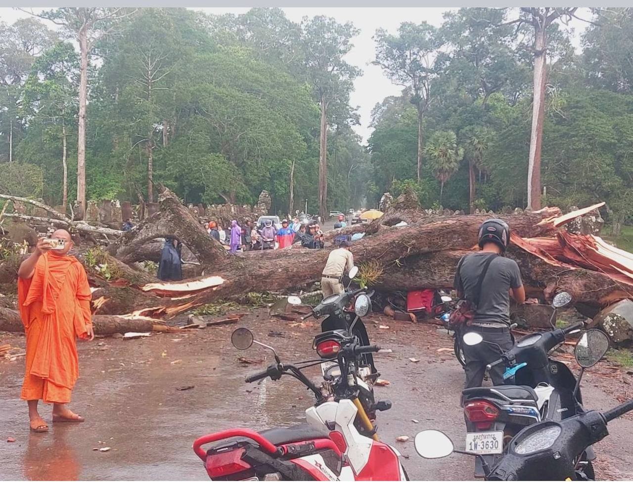 &nbsp; ដើមឈើបាក់ស្ថិតនៅចំណុចខ្លោងទ្វារខាងត្បូង នៃប្រាសាទបាយ័ន&nbsp;បានឆក់យកជីវិតភ្ញៀវទេសចរម្នាក់&nbsp;និងមនុស្សចំនួន៣នាក់&nbsp;ទៀតរងរបួសធ្ងន់ស្រាល&nbsp;&nbsp;