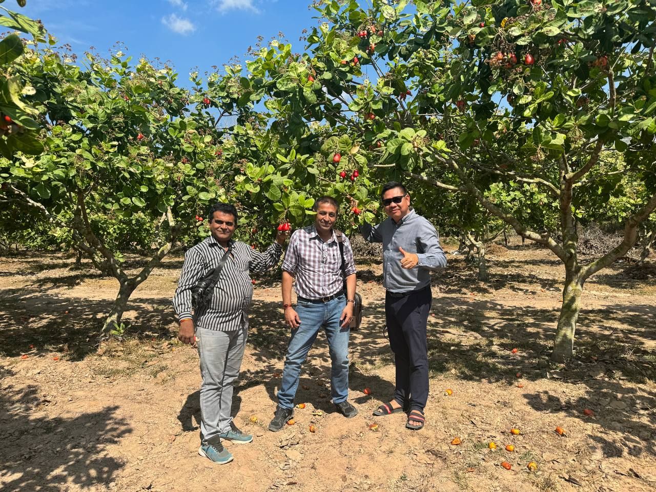 រូបភាព៖ សមាគមស្វាយចន្ទីកម្ពុជា