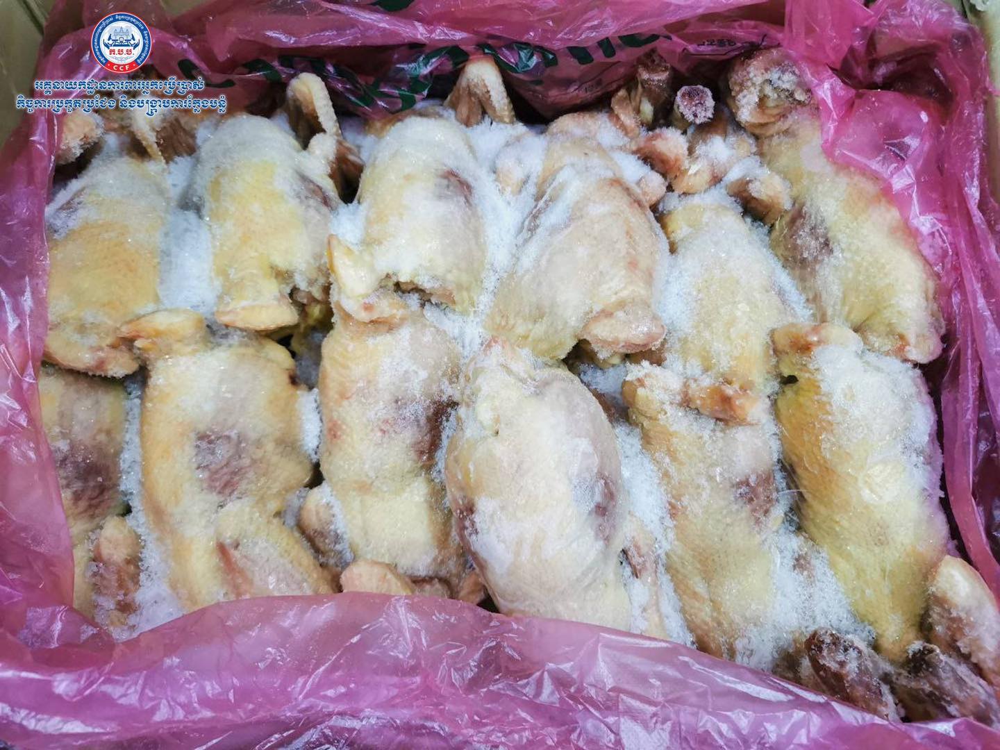 សាច់បង្កកក្នុងឃ្លាំងលោកស្រីឧកញ៉ា អ៊ឹម សុផាន់ណារិទ្ធ ហៅ ចែទូច