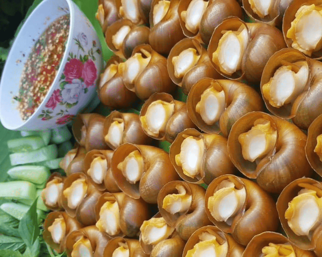 ខ្យងទុរេន ដែលបានចម្អិនរួច