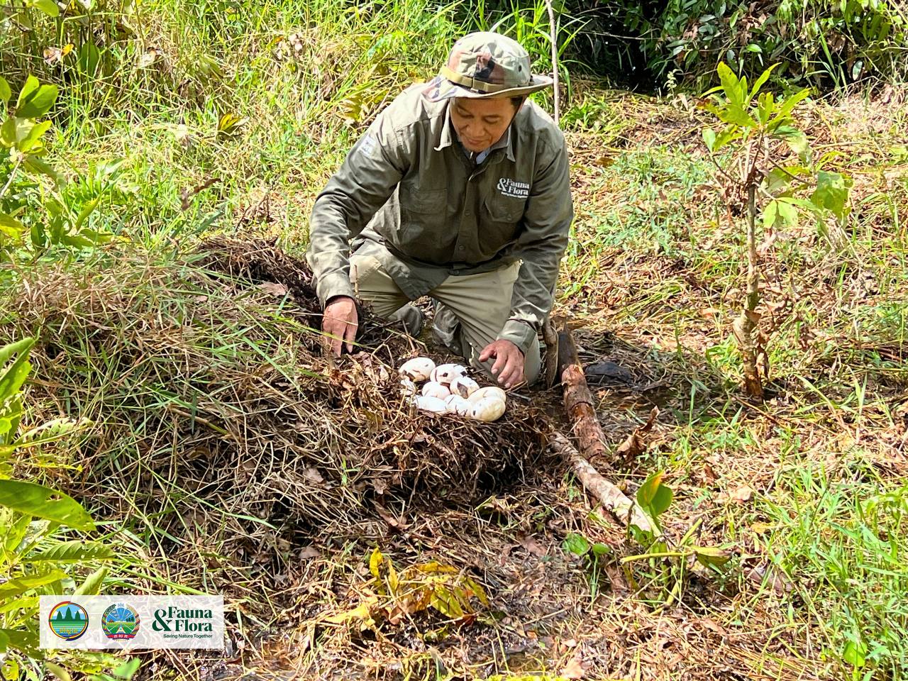 រូបភាពពី ក្រសួងកសិកម្ម រុក្ខាប្រមាញ់ និងនេសាទ