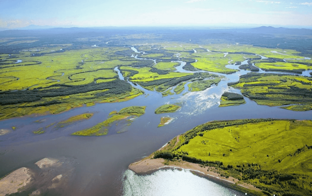 ទន្លេអាម៊ួ