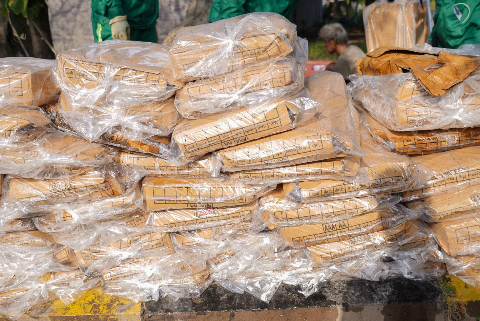 មឹកបង្កក់ដែលរឹបអូសបាន។ រូបភាព៖ រដ្ឋបាលខេត្តកោះកុង