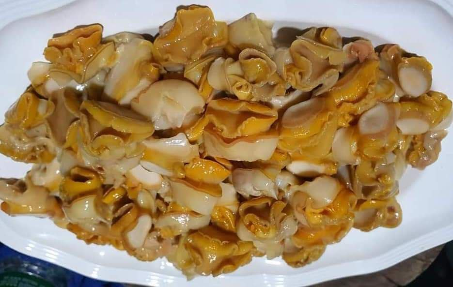 សាច់ខ្យងទុរេន ដែលមានពណ៌មាស ខុសពីខ្យងពងក្រហម