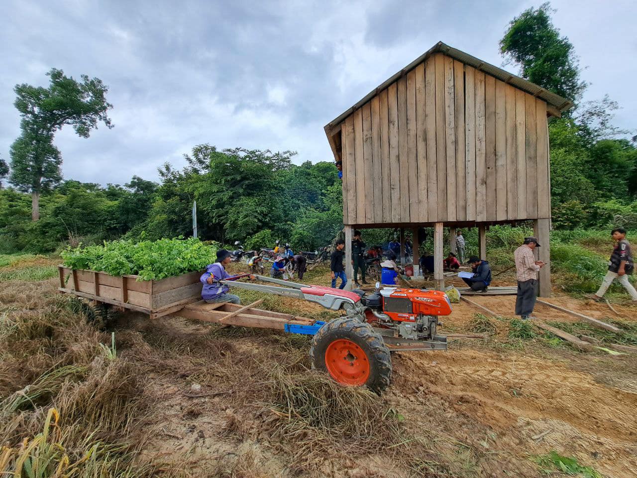 រូបភាពតំណាង