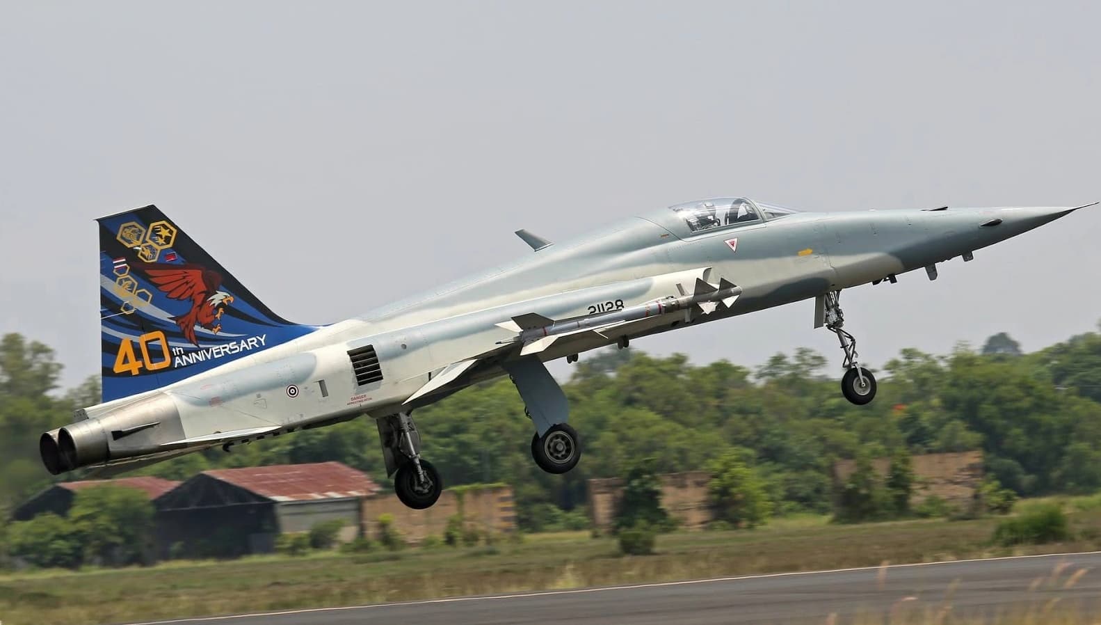 យន្តហោះចម្បាំង&nbsp;F-5 THF