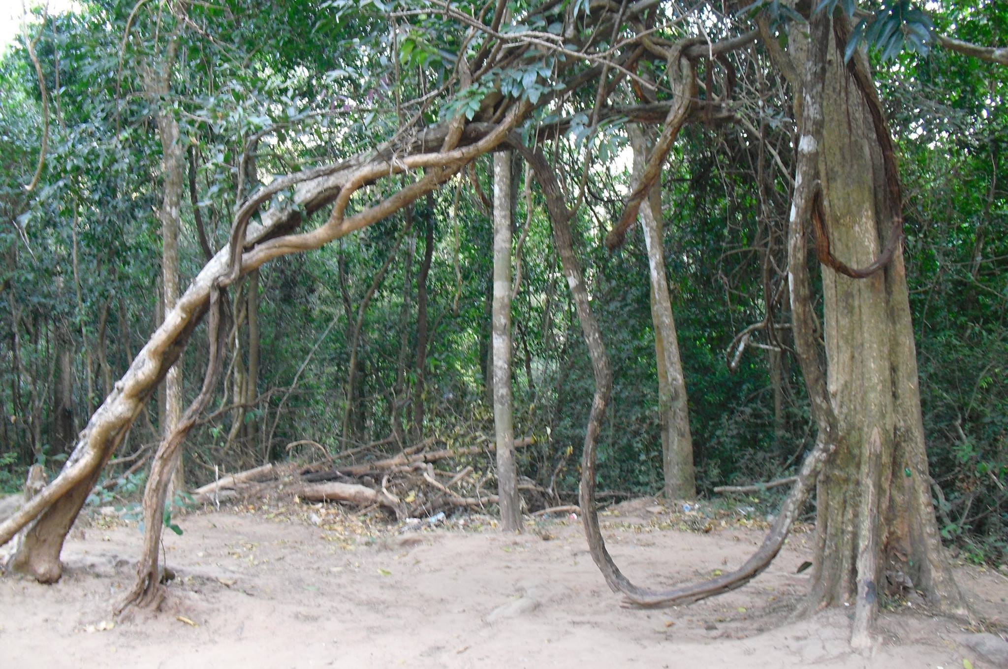 <b>ប្រាសាទតាក្របី។</b>