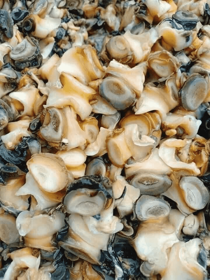 សាច់ខ្យងពងក្រហម មានសម្បុរខ្មៅ ដែលប្រជាពលរដ្ឋកាត់យកតែក្បាលទៅធ្វើម្ហូបអាហារ