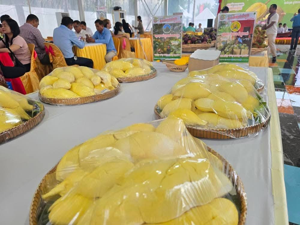 រូបភាព៖មន្ទីរទេសចរណ៍ខេត្តបាត់ដំបង