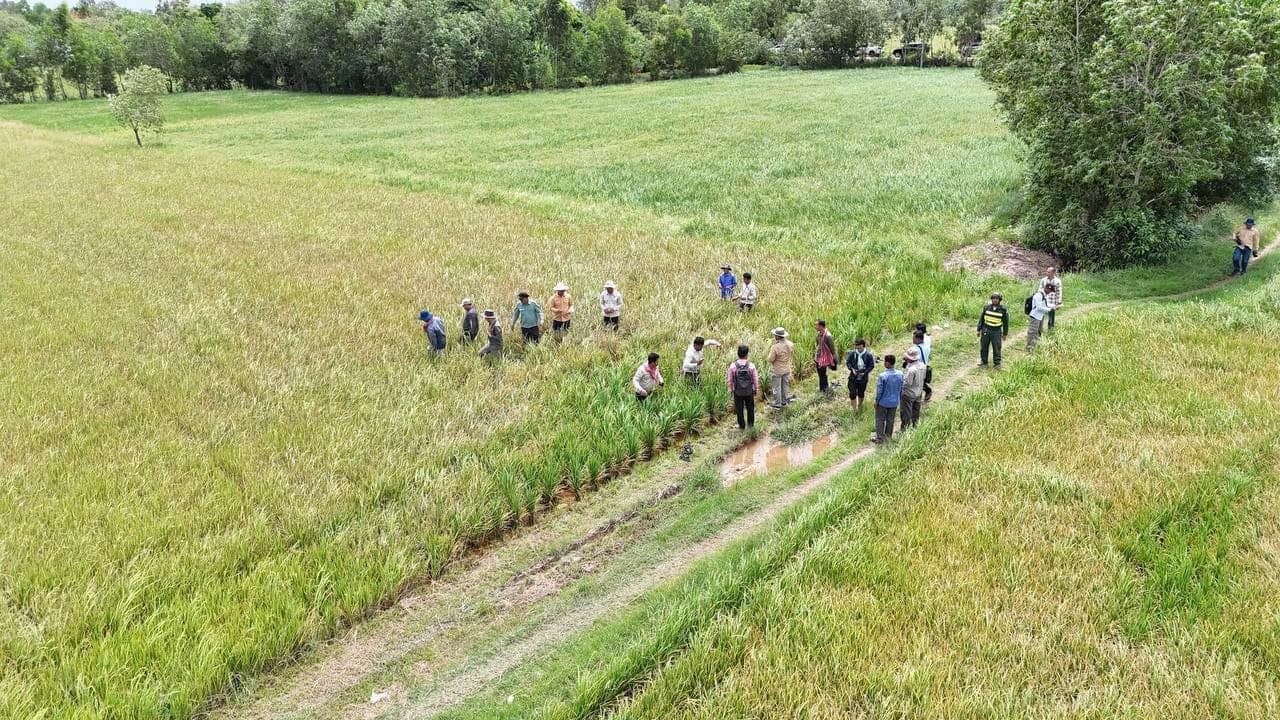 រូបភាព៖ អគ្គនាយកដ្ឋានកសិកម្ម