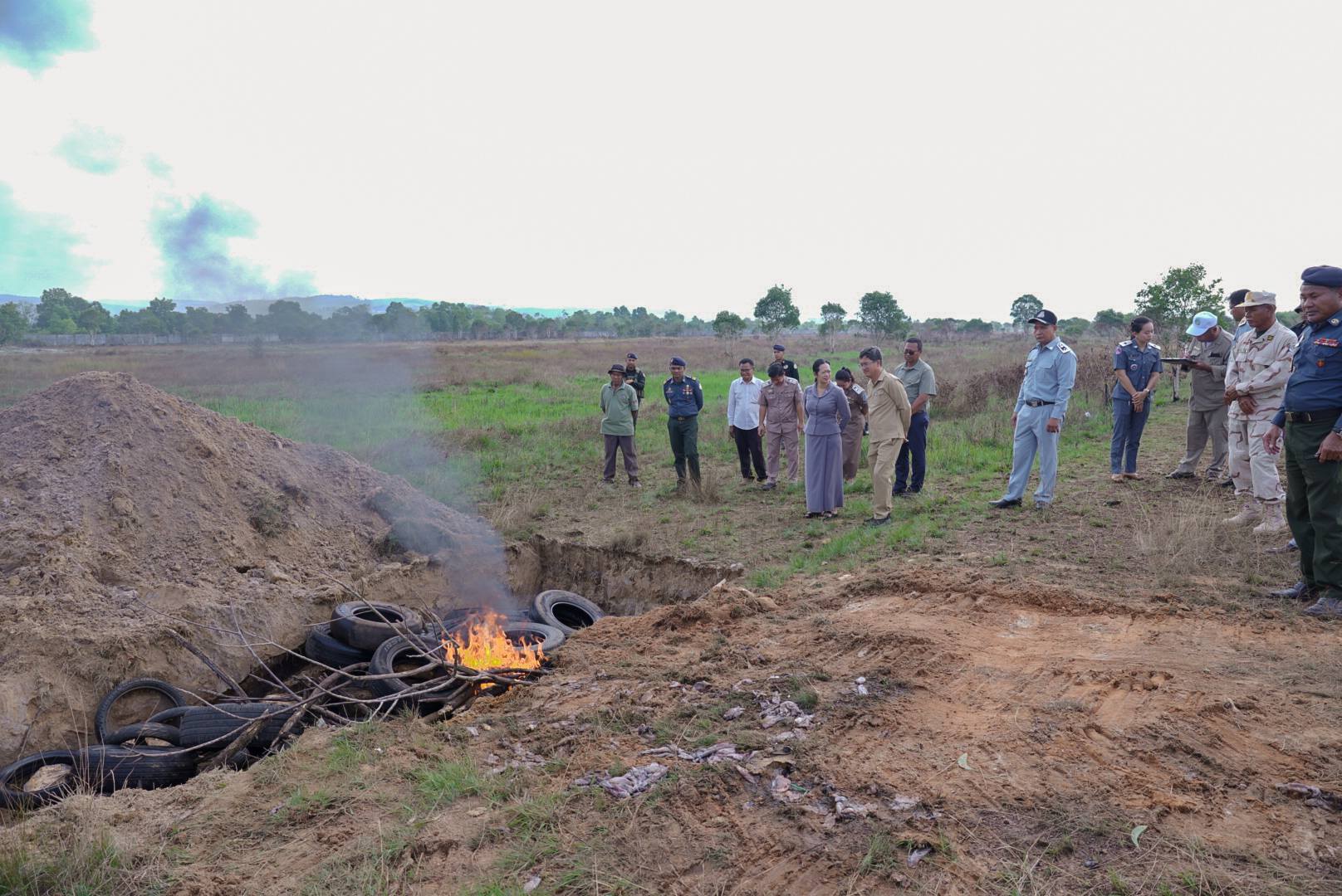 មឹកបង្កក់ដែលរឹបអូសបាន។ រូបភាព៖ រដ្ឋបាលខេត្តកោះកុង