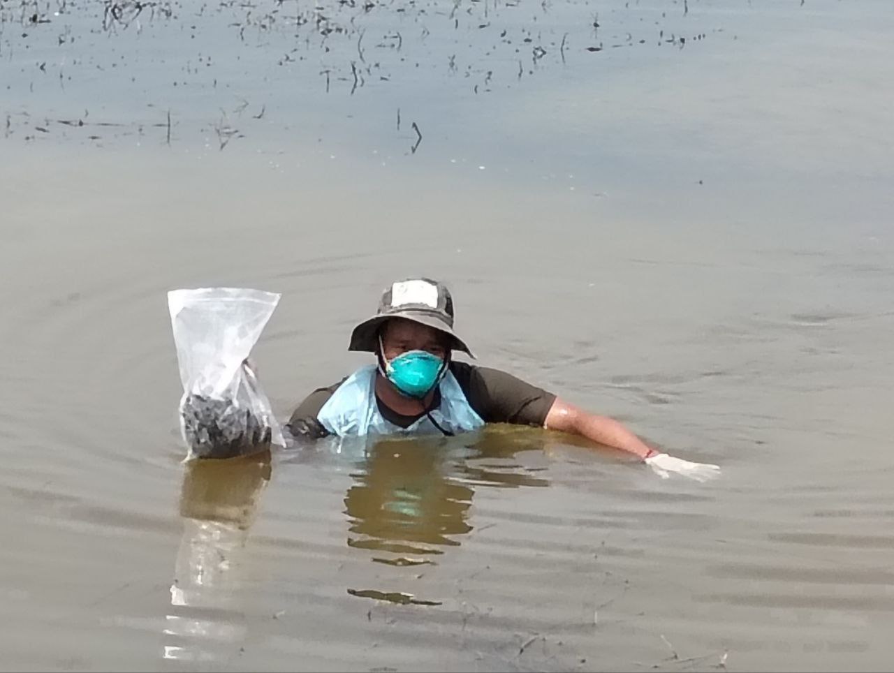 រូបភាព៖ អង្គការជីវិតធម្មជាតិនៅកម្ពុជា (NCO)