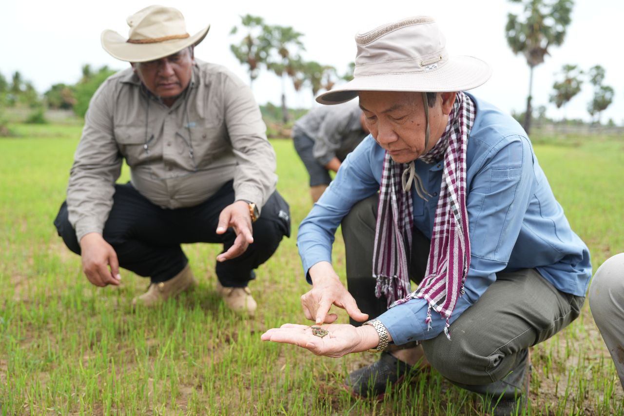 រូបភាព៖&nbsp; ឯកឧត្តម ងិន ឆាយ ប្រតិភូររាជរដ្ឋាភិបាល ទទួលបន្ទុកជាអគ្គនាយក នៃអគ្គនាយកដ្ឋានកសិកម្ម
