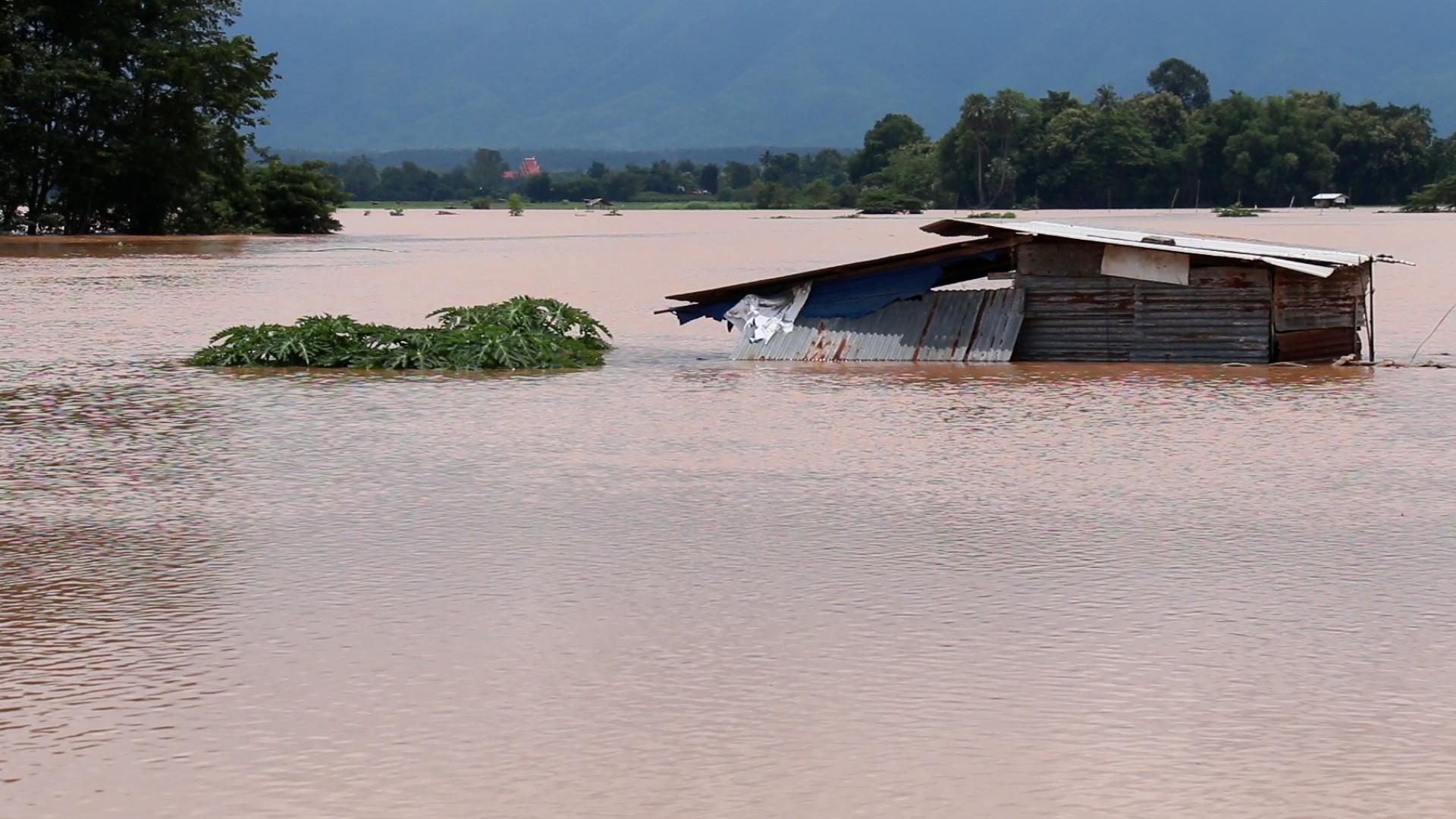 រូបភាព៖ ខាវសដ
