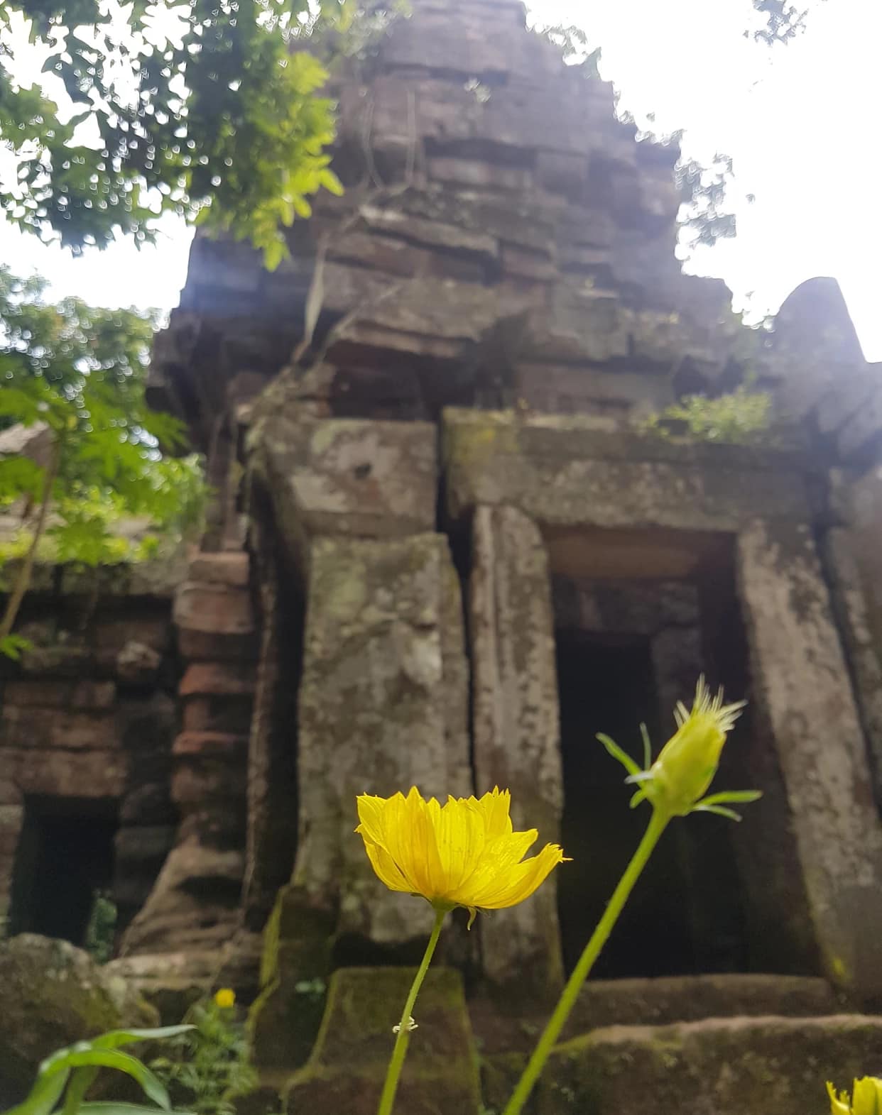 <b>ប្រាសាទតាក្របី។</b>