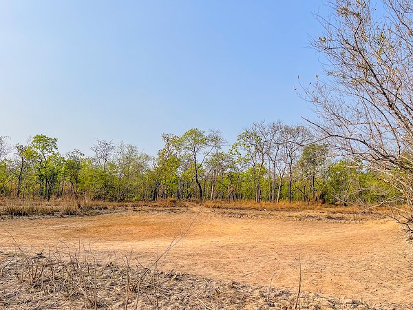 ប្រភពរូបភាព៖ USAID មរតកបៃតង