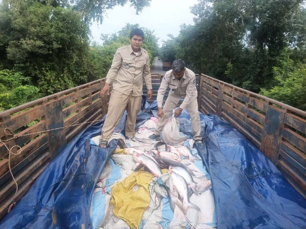 រូបភាព​ឯកសារ&nbsp;