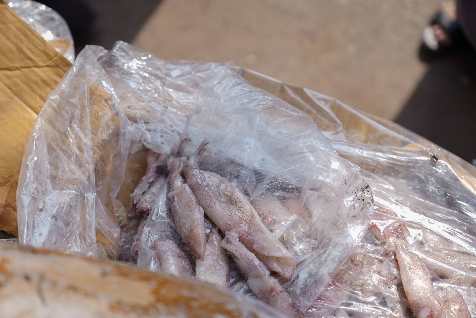 មឹកបង្កក់ដែលរឹបអូសបាន។ រូបភាព៖ រដ្ឋបាលខេត្តកោះកុង