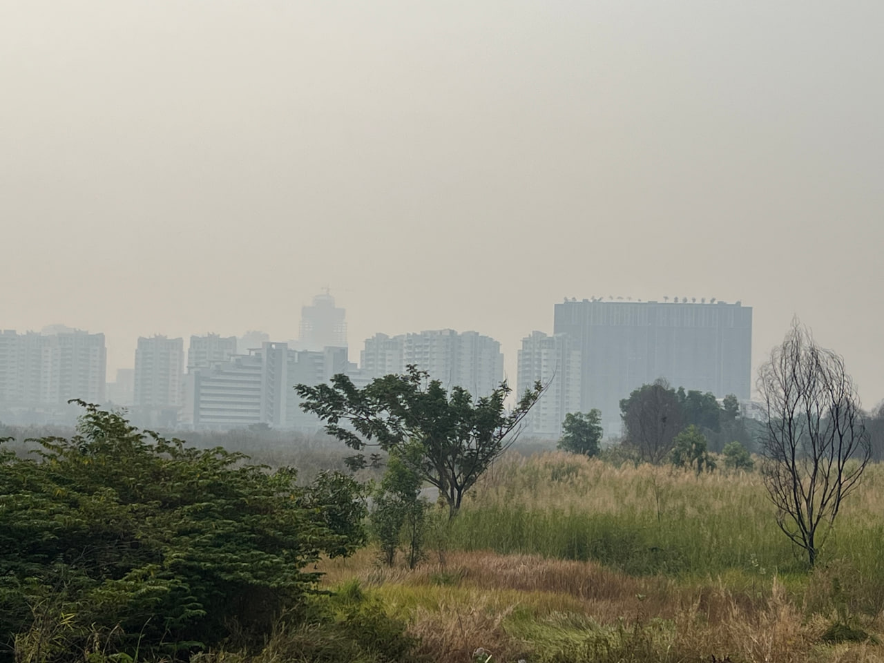 រូបភាពតំណាង