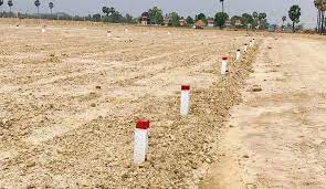 រូបភាពតំណាង