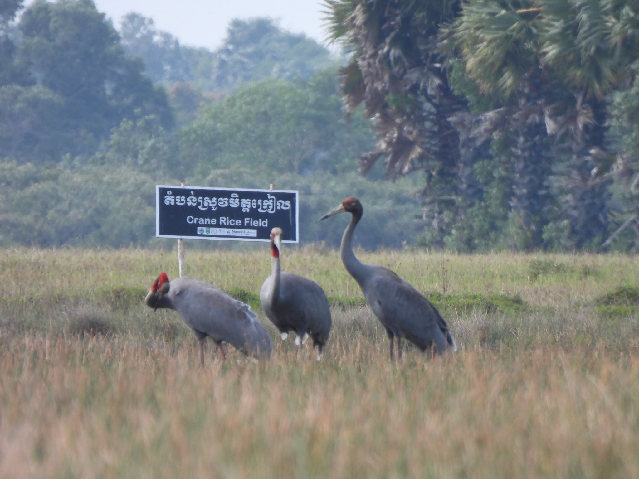 រូបពី៖ ក្រសួងបរិស្ថាន