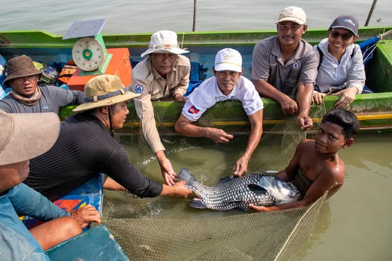 ត្រីគល់រាំង