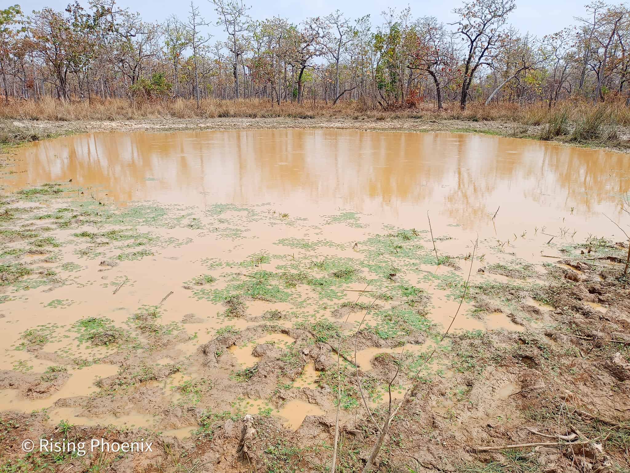 ប្រភពរូបភាព៖ USAID មរតកបៃតង