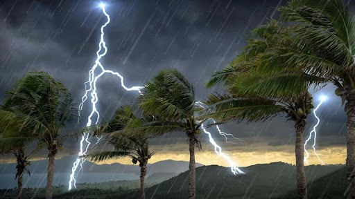 រូបភាព៖ អ៊ីនធើណេត