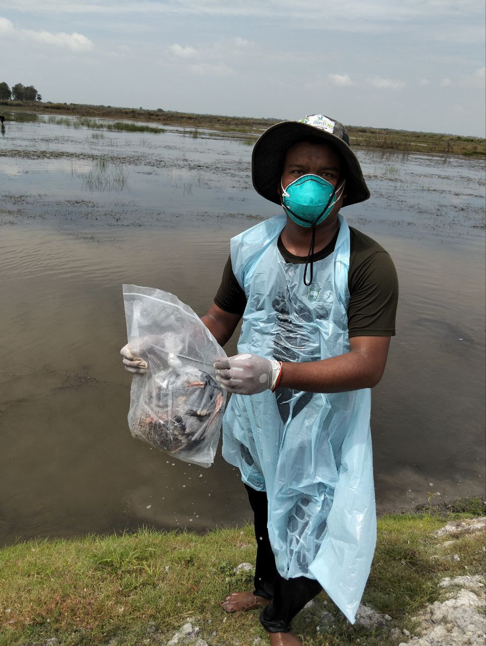 រូបភាព៖ អង្គការជីវិតធម្មជាតិនៅកម្ពុជា (NCO)