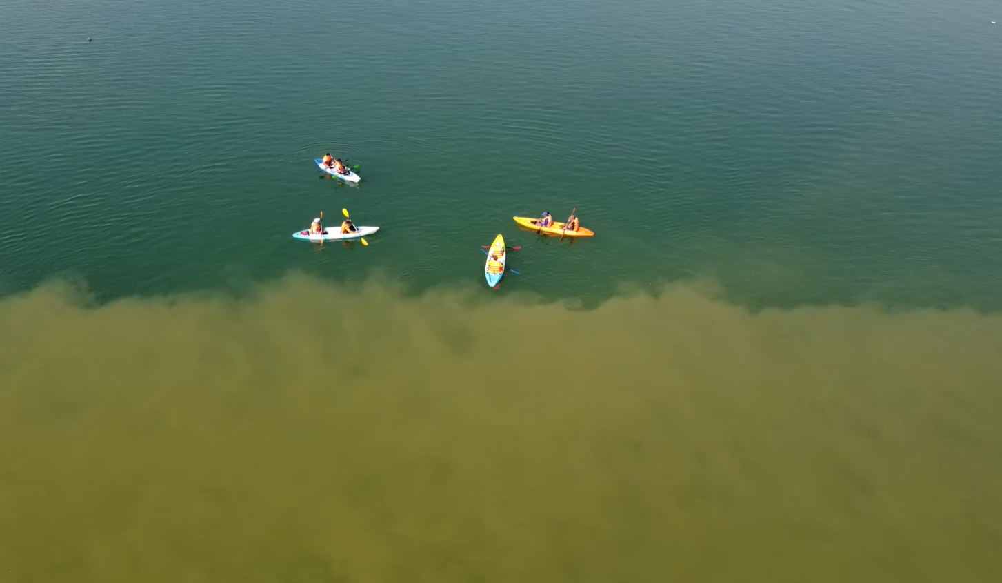 រូបភាពតំណាង