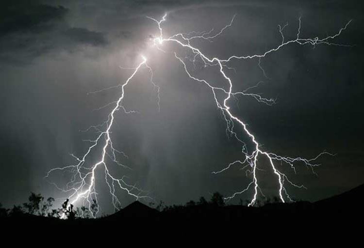 រូបភាព៖&nbsp;អ៊ីនធើណេត