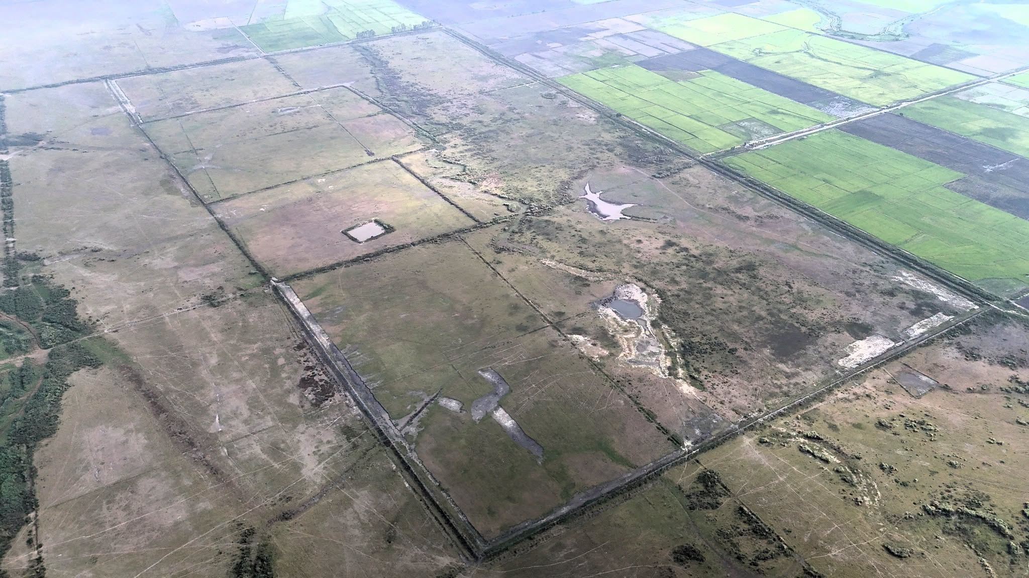 រូបភាព៖ អង្គការជីវិតធម្មជាតិនៅកម្ពុជា
